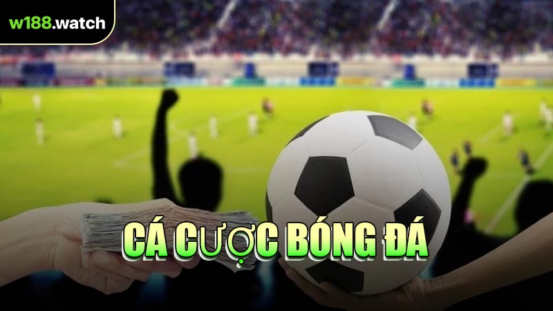 Cá Cược Bóng Đá
