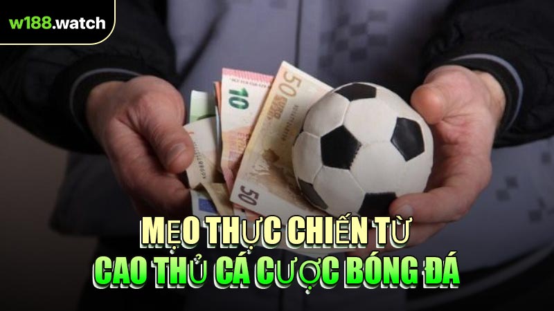 Mẹo Thực Chiến Từ Cao Thủ Cá Cược Bóng Đá