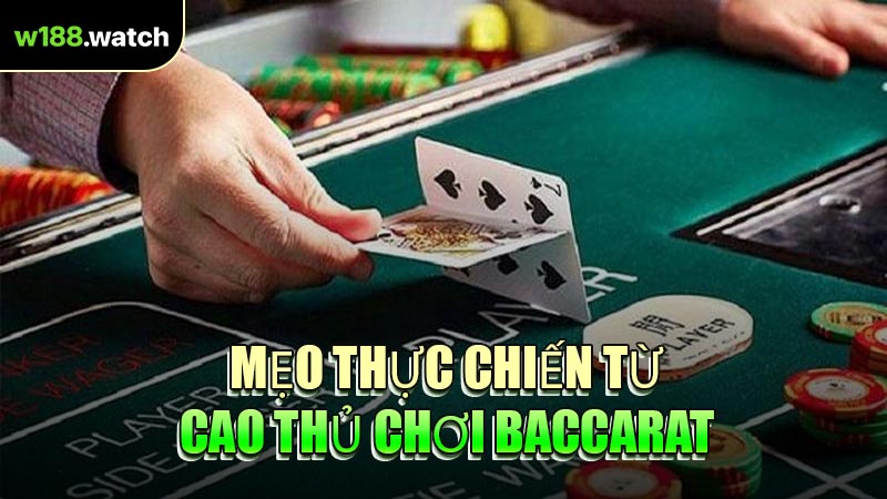 Mẹo Thực Chiến Từ Cao Thủ Chơi Baccarat
