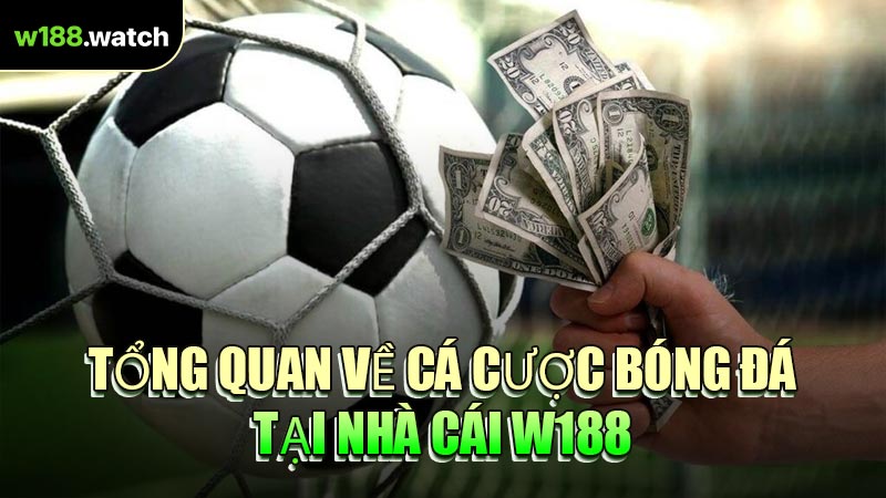 Tổng Quan Về Cá Cược Bóng Đá Tại Nhà Cái W188