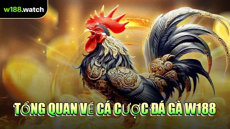 Tổng Quan Về Cá Cược Đá Gà W188