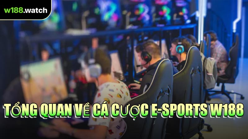 Tổng Quan Về Cá Cược E-Sports W188