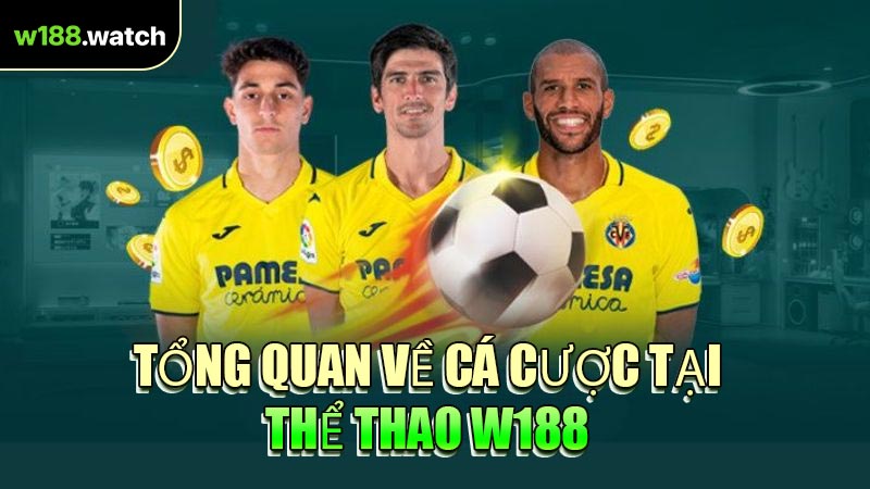 Tổng Quan Về Cá Cược Tại Thể Thao W188