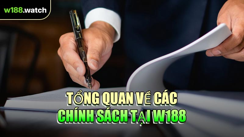 Tổng Quan Về Các Chính Sách Tại W188