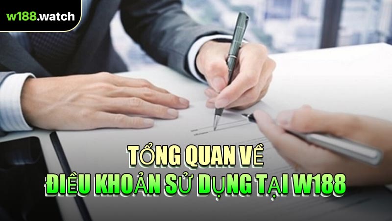 Tổng Quan Về Điều Khoản Sử Dụng Tại W188