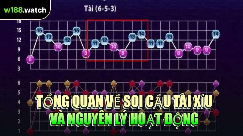 Tổng Quan Về Soi Cầu Tài Xỉu Và Nguyên Lý Hoạt Động
