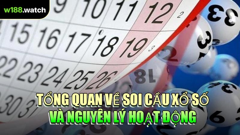 Tổng Quan Về Soi Cầu Xổ Số Và Nguyên Lý Hoạt Động