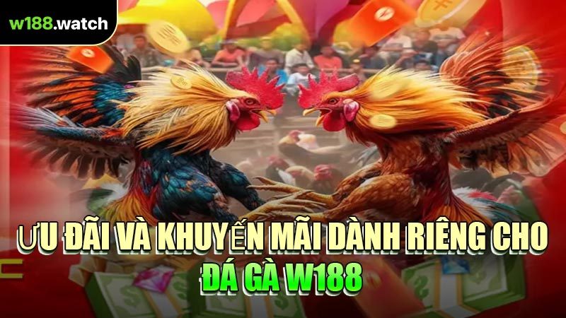 Ưu Đãi Và Khuyến Mãi Dành Riêng Cho Đá Gà W188